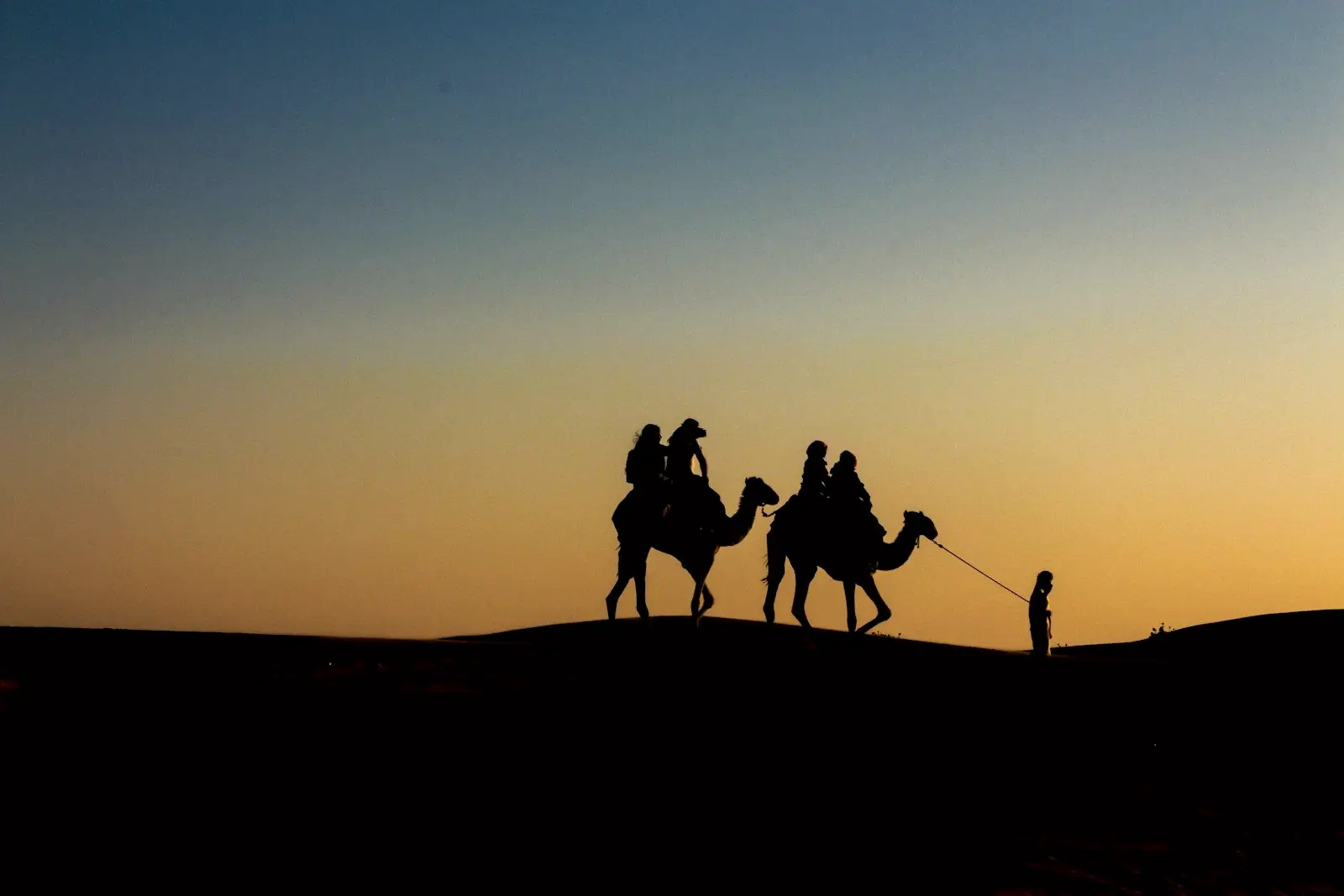 Caravane de dromadaires sur une dune au coucher du soleil