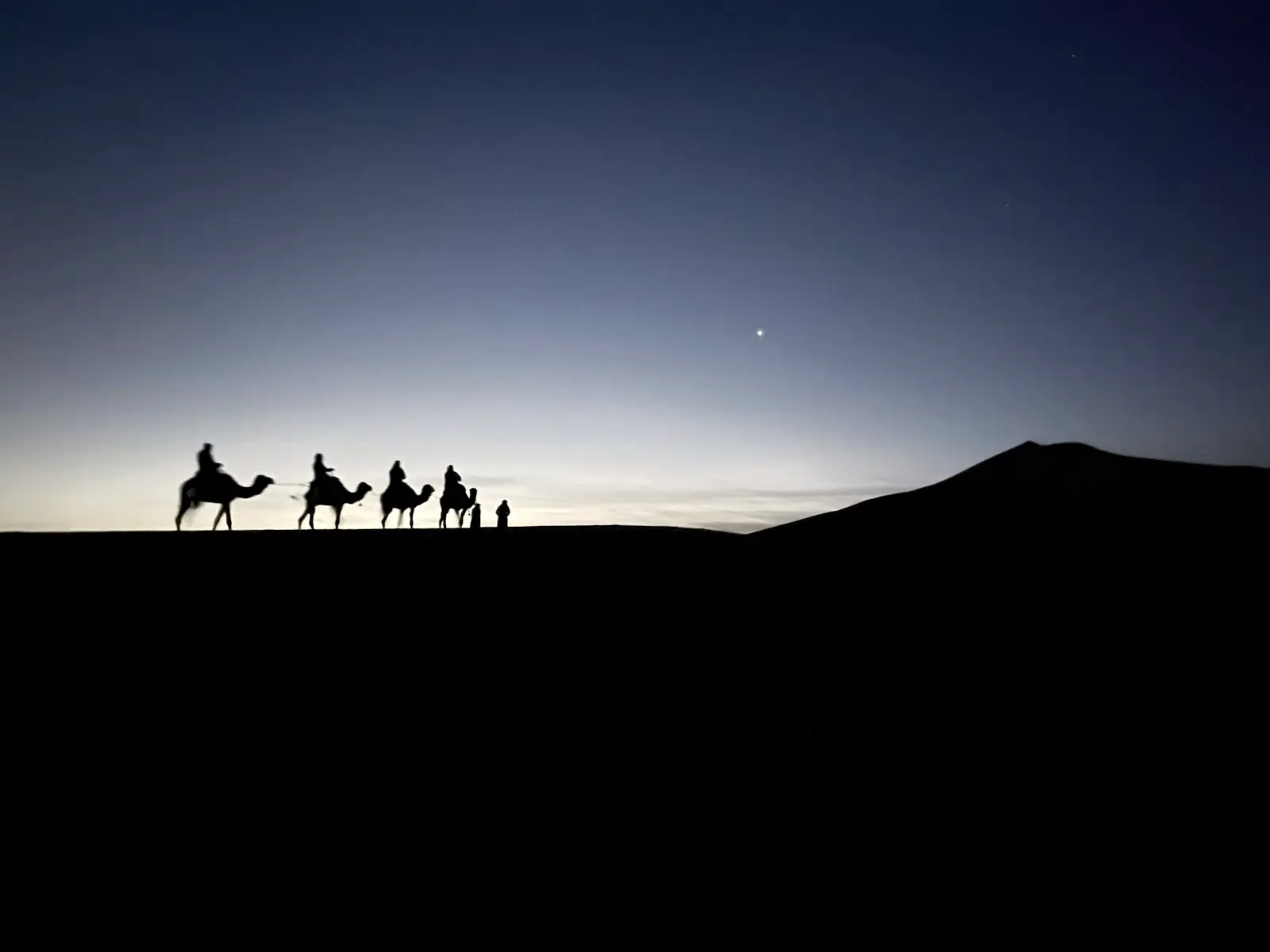 Caravane de dromadaires sur la crête d’une dune au crépuscule