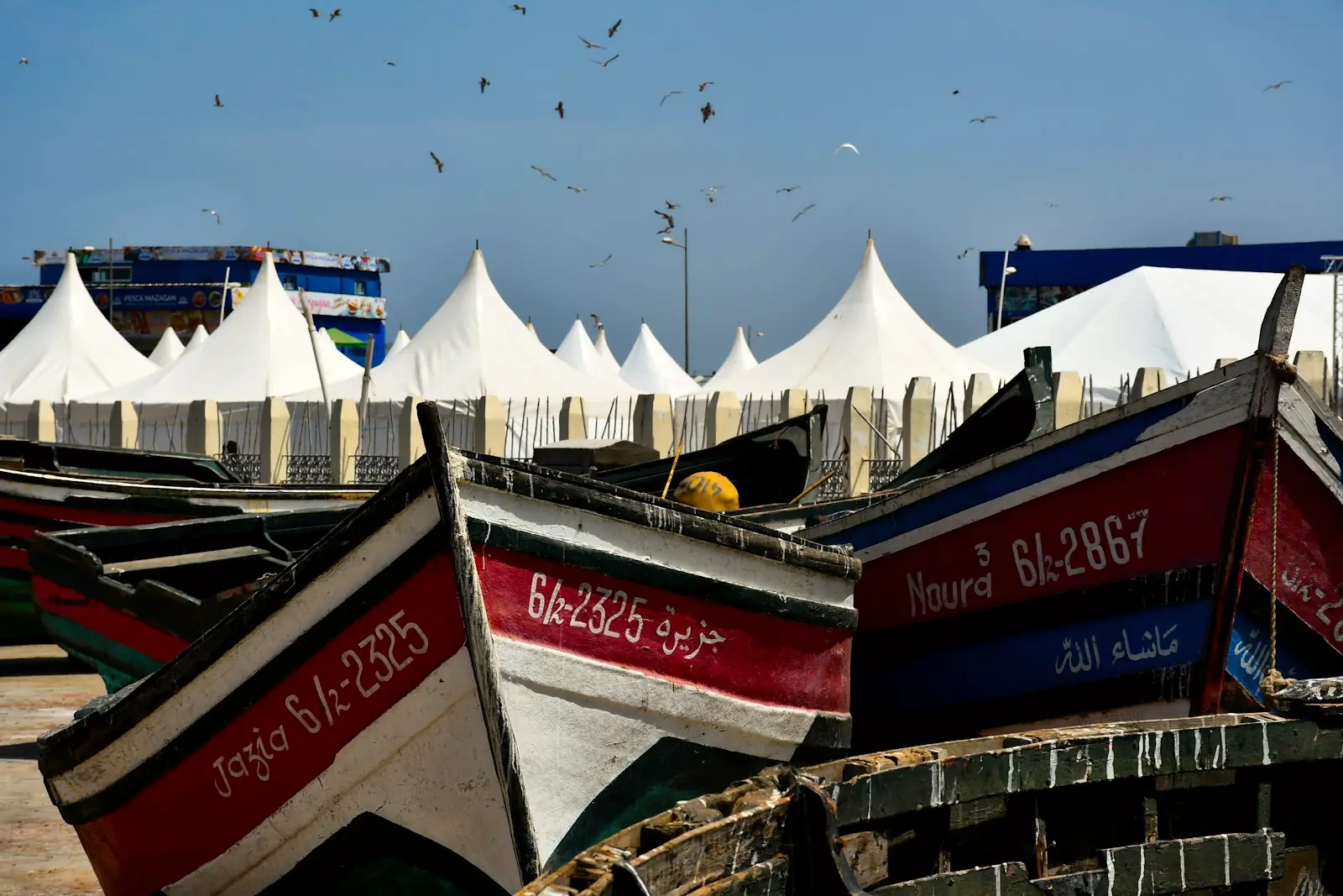 Barques de pêche rouges et bleues dans un port de la côte atlantique