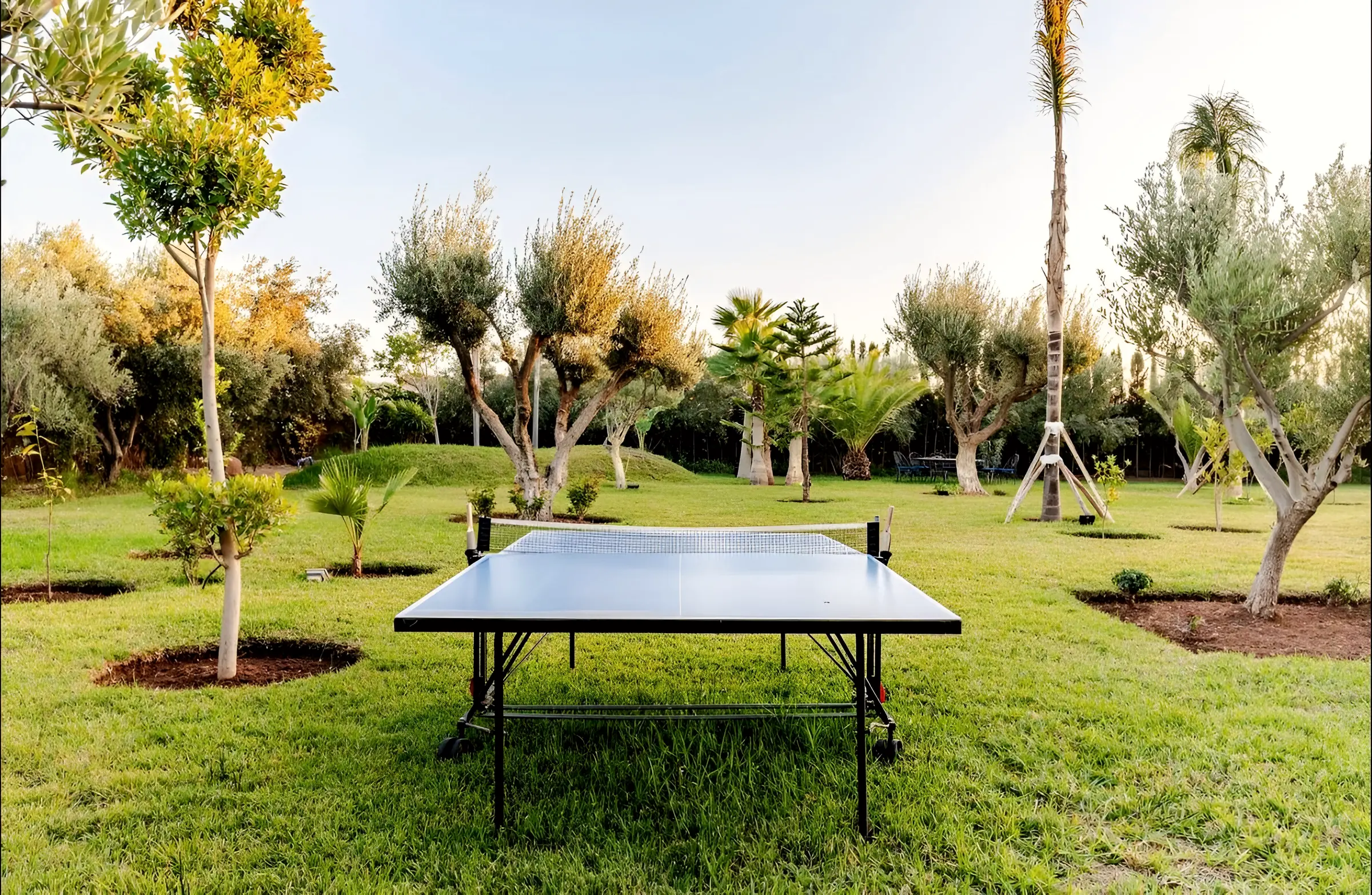 Le jardin d’oliviers, Villa Ma Mounia