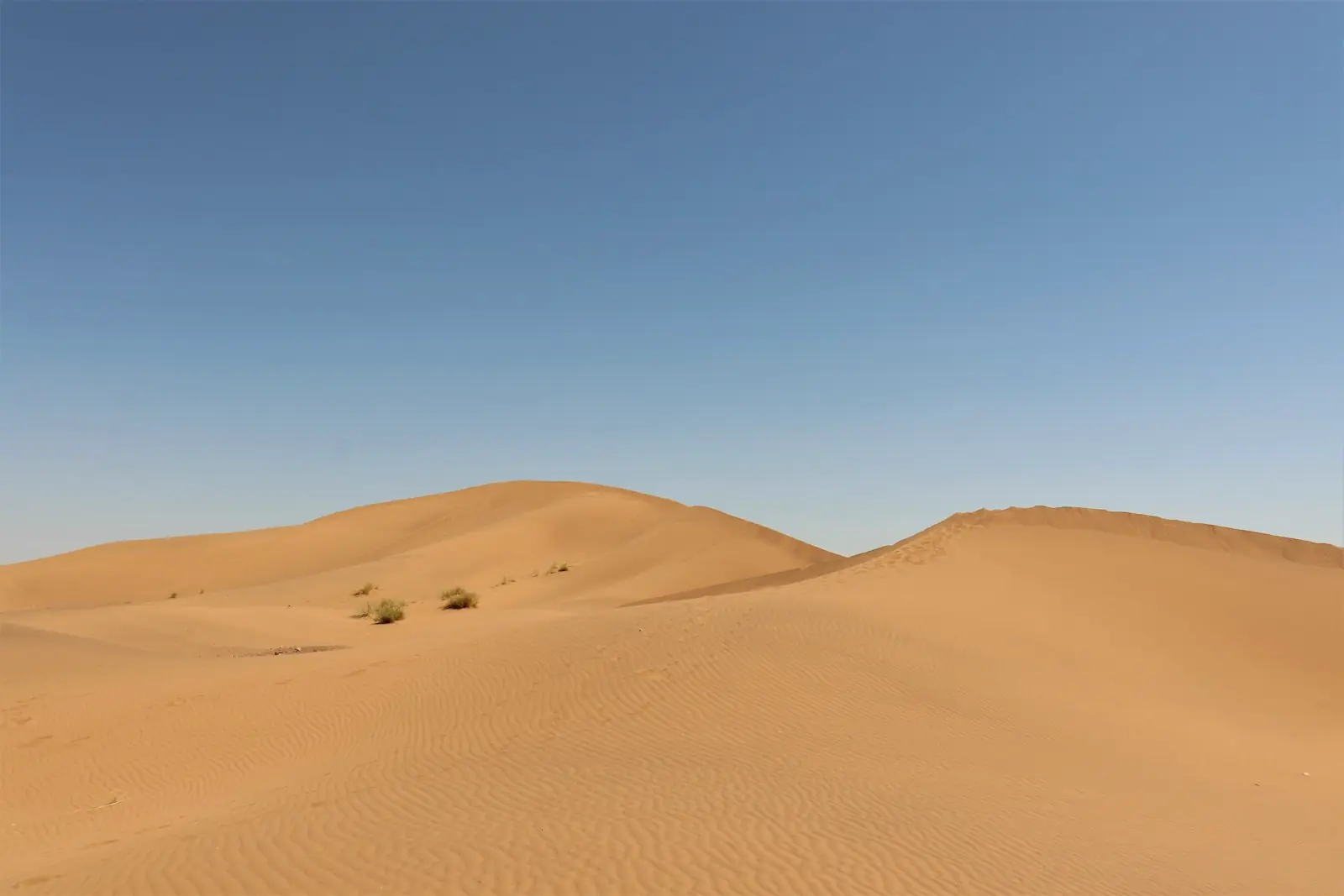 Dunes de sable doré sous un ciel bleu, dans le sud marocain
